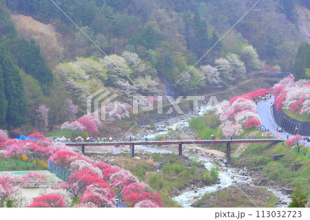 月岡温泉郷・花桃の里 113032723
