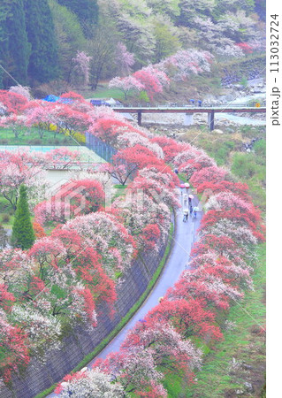 月岡温泉郷・花桃の里 月岡温泉郷・花桃の里 113032724