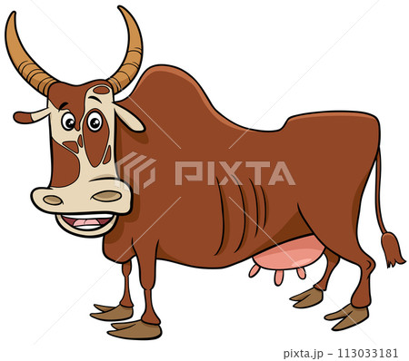zebu cow farm animal character cartoon illustration 113033181