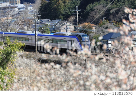 梅の花咲く中を走る中央線特急電車 梅の花咲く中を走る中央線特急電車 113033570