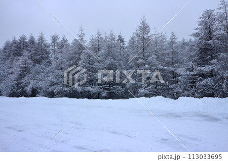立科町冬山の景色 立科町冬山の景色 113033695