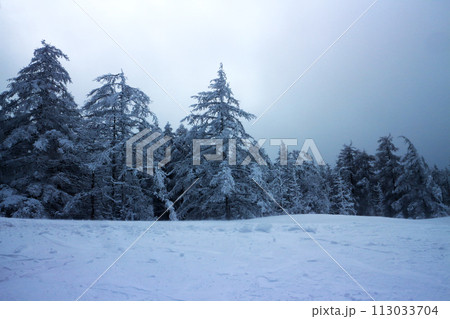 立科町冬山の景色 立科町冬山の景色 113033704
