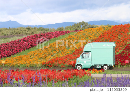 キッチンカーと花畑 113033899