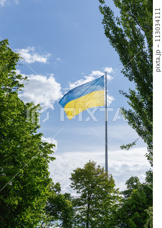 【ウクライナ】ハルキウ、緑の木々の間から望む青空で旗めく巨大なウクライナ国旗 113034111