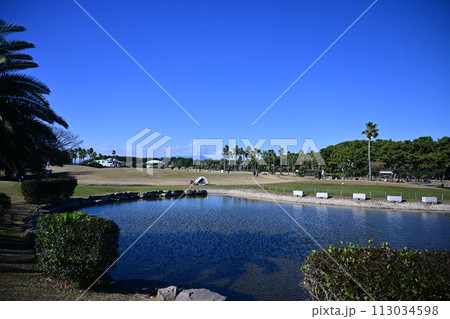 青空広がる辻堂海浜公園 113034598