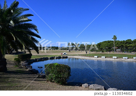 青空広がる辻堂海浜公園 青空広がる辻堂海浜公園 113034602