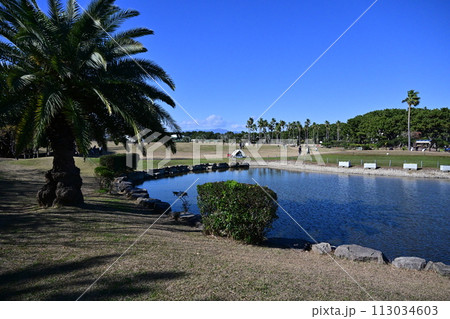 青空広がる辻堂海浜公園 113034603