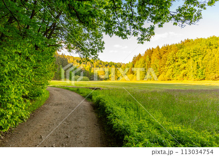 A serene trail curves beside a bright green meadow, flanked by lush trees, illustrating the tranquil beauty of rural spring. A serene trail curves beside a bright green meadow, flanked by lush trees, illustrating the tranquil beauty of rural spring. 113034754