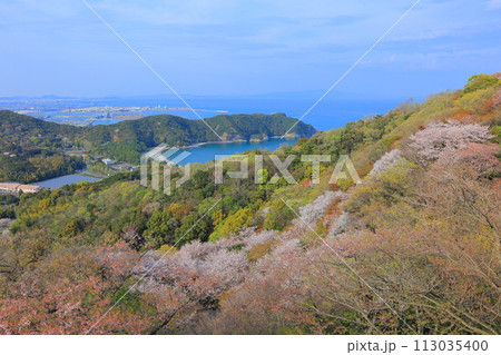 桜の咲く風景 2023年 春 桜の咲く風景 2023年 春 113035400