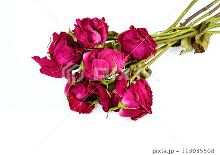 Bouquet of roses unsuitable for a gift on a white background 113035508