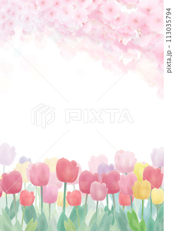 桜の花びらが舞うチューリップ畑の背景イラスト 113035794