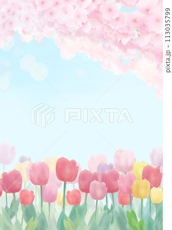 桜の花びらが舞うチューリップ畑の背景イラスト 桜の花びらが舞うチューリップ畑の背景イラスト 113035799