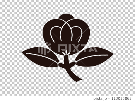 横茶の実 113035865