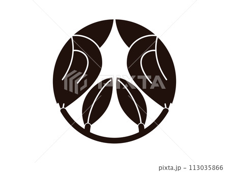 割茶の実 割茶の実 113035866