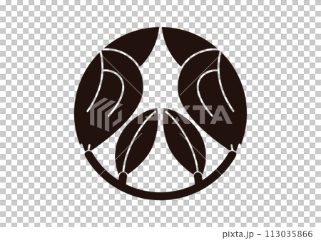 割茶の実 割茶の実 113035866