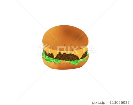 ハンバーガーのイラスト ハンバーガーのイラスト 113036022