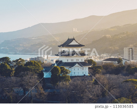 神奈川県小田原市にある小田原城天守閣と相模湾, 113036585