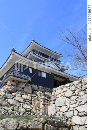 浜松城　静岡県浜松市　　 113036676