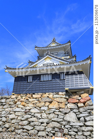 浜松城　静岡県浜松市　　 113036678
