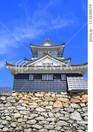 浜松城　静岡県浜松市　　 113036679