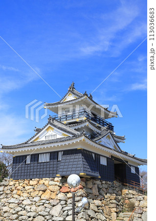 浜松城　静岡県浜松市　　 113036683