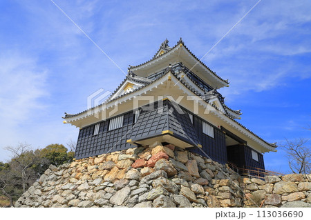 浜松城　静岡県浜松市　　 113036690