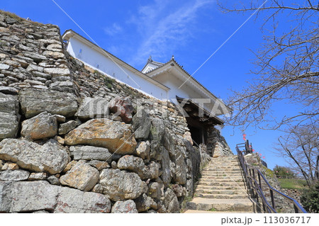 浜松城　「天守門」に通ずるい石段　　　 113036717