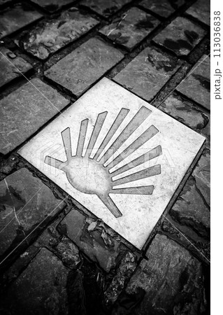 Camino de Santiago sign on the ground 113036838