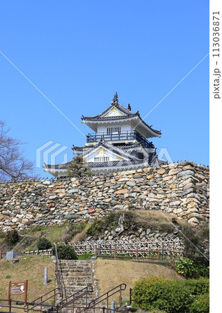 浜松城　静岡県浜松市　　 113036871