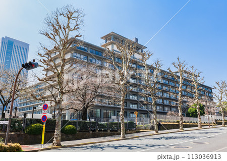 霞ヶ関　外務省（北門側） 113036913