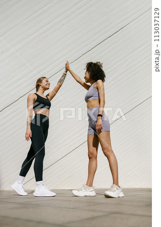 Sporty women greeting together outdoor doing gesture of shake hand after exercising 113037129