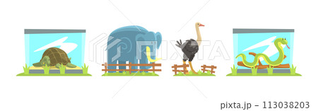 Zoo Animal and Wild Fauna Behind Fence Vector Set Zoo Animal and Wild Fauna Behind Fence Vector Set 113038203