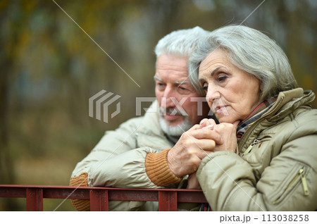 Portrait of sad senior couple in park 113038258