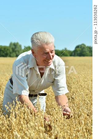 Portrait of senior man resting in field 113038262