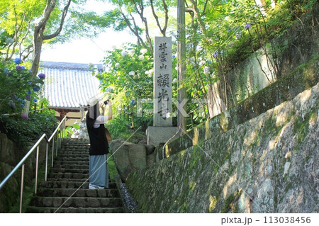 頼光寺・紫陽花をスマホで撮影する女性 113038456