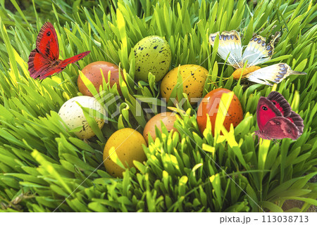 easter eggs in grass with flying butterflies 113038713