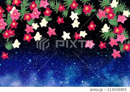 星空と縷紅草(ルコウソウ)の花のカード 星空と縷紅草(ルコウソウ)の花のカード 113038905