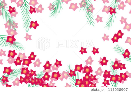 縷紅草（ルコウソウ）の花のカード3 113038907