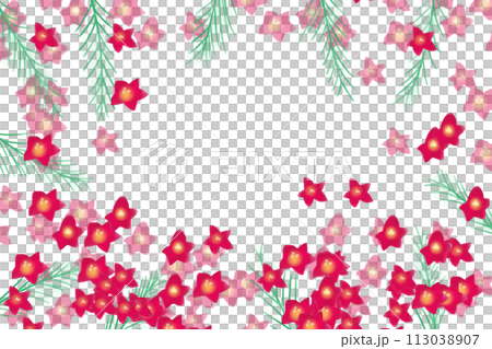 縷紅草（ルコウソウ）の花のカード3 113038907