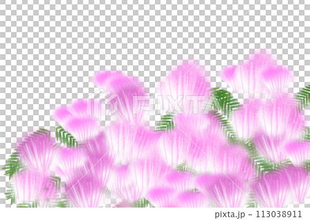 迎賓樹花卡1 迎賓樹花卡1 113038911