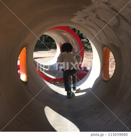 公園の遊具を走り抜ける男の子 113039080