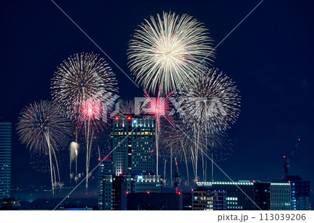モエレ沼芸術花火の遠景 113039206
