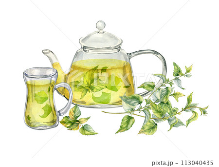 Watercolor illustration of transparent teapot with herbs tea isolated on white . Glass teapot with nettle tea. Herbs and cup of hot drink hand drawn. Green hot drink. Packaging of dry herb, green tea Watercolor illustration of transparent teapot with herbs tea isolated on white . Glass teapot with nettle tea. Herbs and cup of hot drink hand drawn. Green hot drink. Packaging of dry herb, green tea 113040435