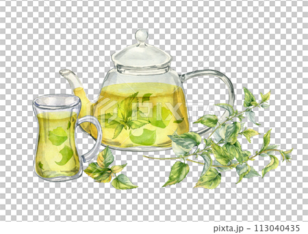 Watercolor illustration of transparent teapot with herbs tea isolated on white . Glass teapot with nettle tea. Herbs and cup of hot drink hand drawn. Green hot drink. Packaging of dry herb, green tea Watercolor illustration of transparent teapot with herbs tea isolated on white . Glass teapot with nettle tea. Herbs and cup of hot drink hand drawn. Green hot drink. Packaging of dry herb, green tea 113040435