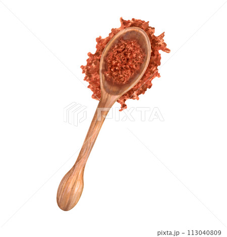 Wooden spoon with ground crumbly coffee or cocoa. Coffee powder from beans with Robusta and Arabica flavors. Illustration with watercolor and marker. Top view. Coffee day.Hand drawn isolated art. Wooden spoon with ground crumbly coffee or cocoa. Coffee powder from beans with Robusta and Arabica flavors. Illustration with watercolor and marker. Top view. Coffee day.Hand drawn isolated art. 113040809
