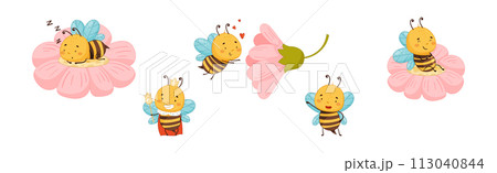 Cute Honey Bee Character with Pretty Face and Striped Body Vector Set Cute Honey Bee Character with Pretty Face and Striped Body Vector Set 113040844