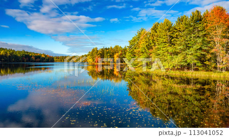 Vibrant trees and landscape by the lake. Nova Scotia, Canada 113041052