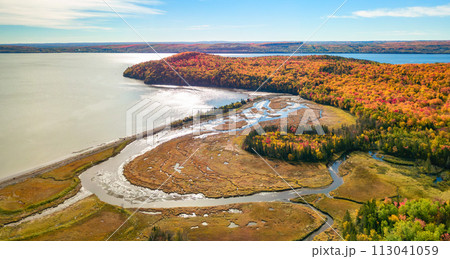 Vibrant trees and landscape on East Coast of Atlantic Ocean. Quebec, Canada 113041059