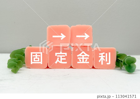 固定金利 113041571