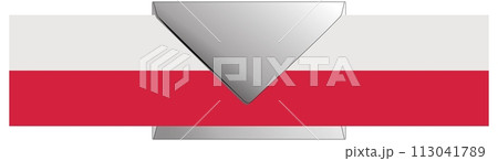 Poles will vote during the presidential election by correspondence. 113041789